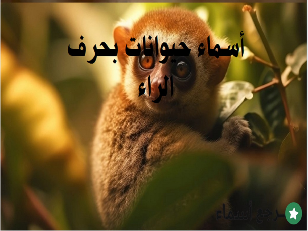 أسماء حيوانات بحرف الراء ومعلومات عن كل حيوان