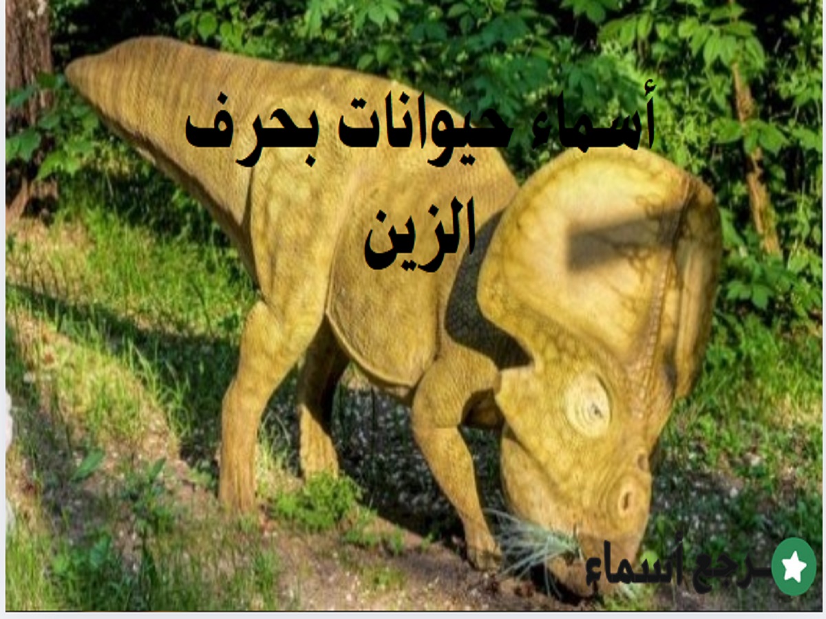 مجموعة أسماء حيوانات بحرف الزين ومعلومات عنها