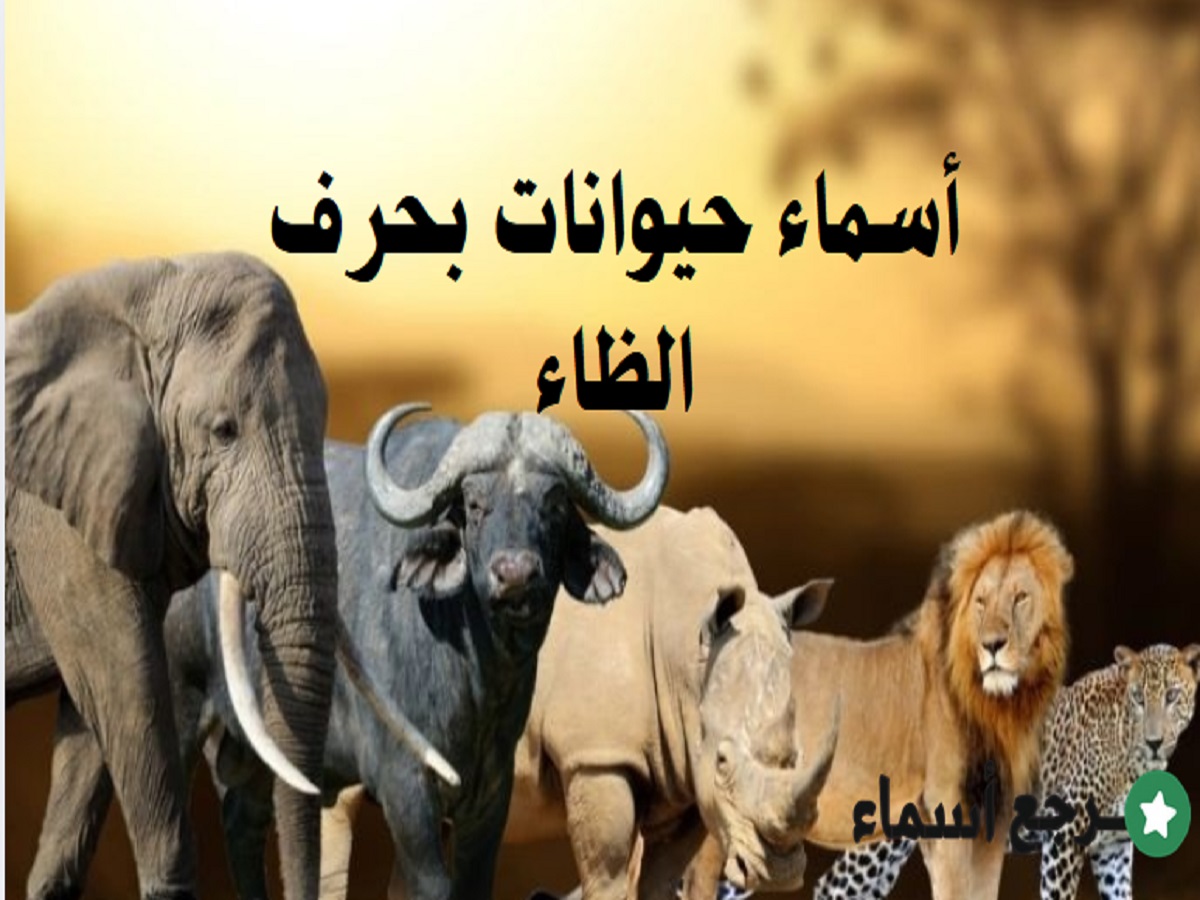 باقة أسماء حيوانات بحرف الظاء متنوعة