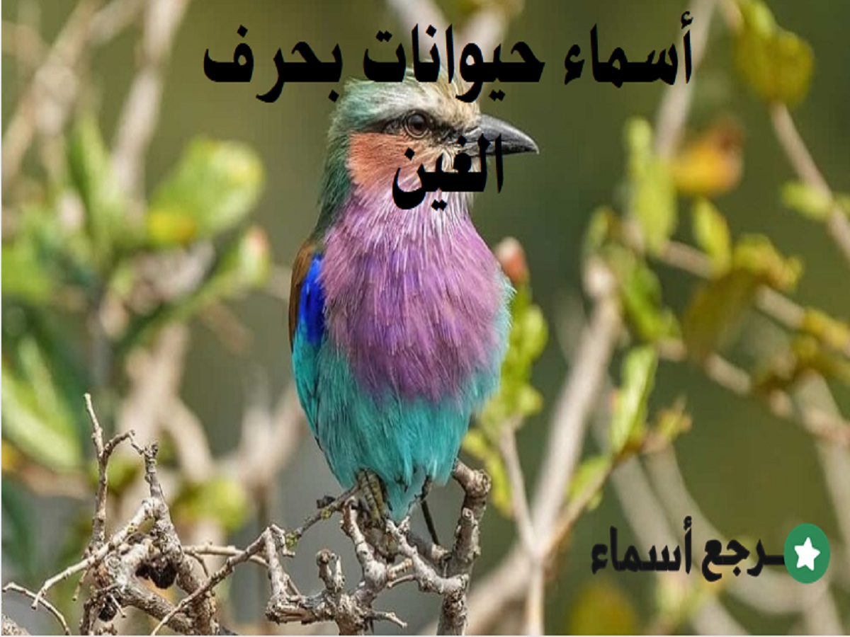 أسماء حيوانات بحرف الغين متنوعة