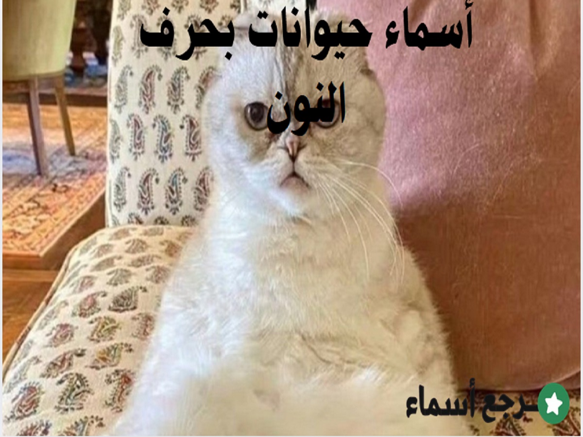 أسماء حيوانات بحرف النون معروفة وغير معروفة