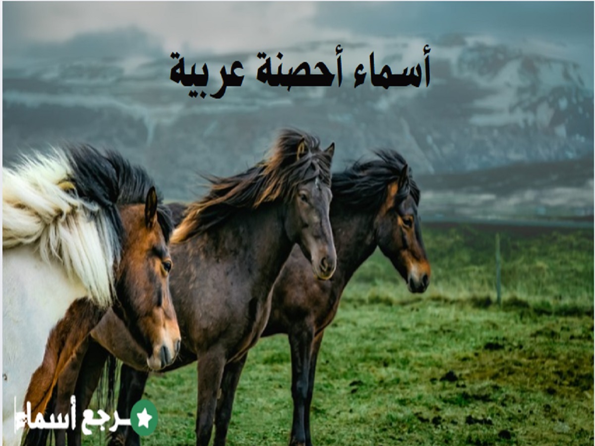 أسماء أحصنة عربية والمعنى الذي يحمله كل اسم