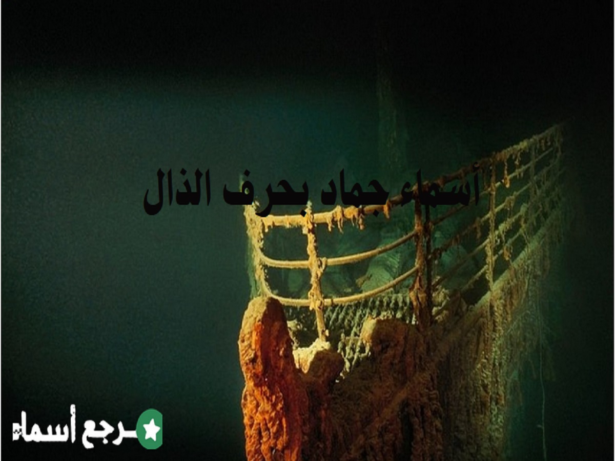 أسماء جماد بحرف الذال والتعريف بكل اسم