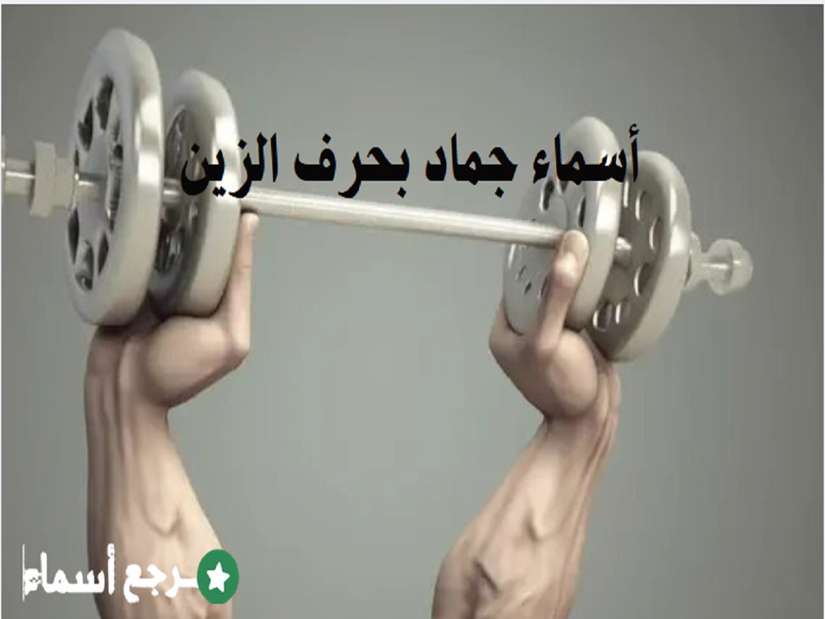 أسماء جماد بحرف الزين مجموعة واسعة