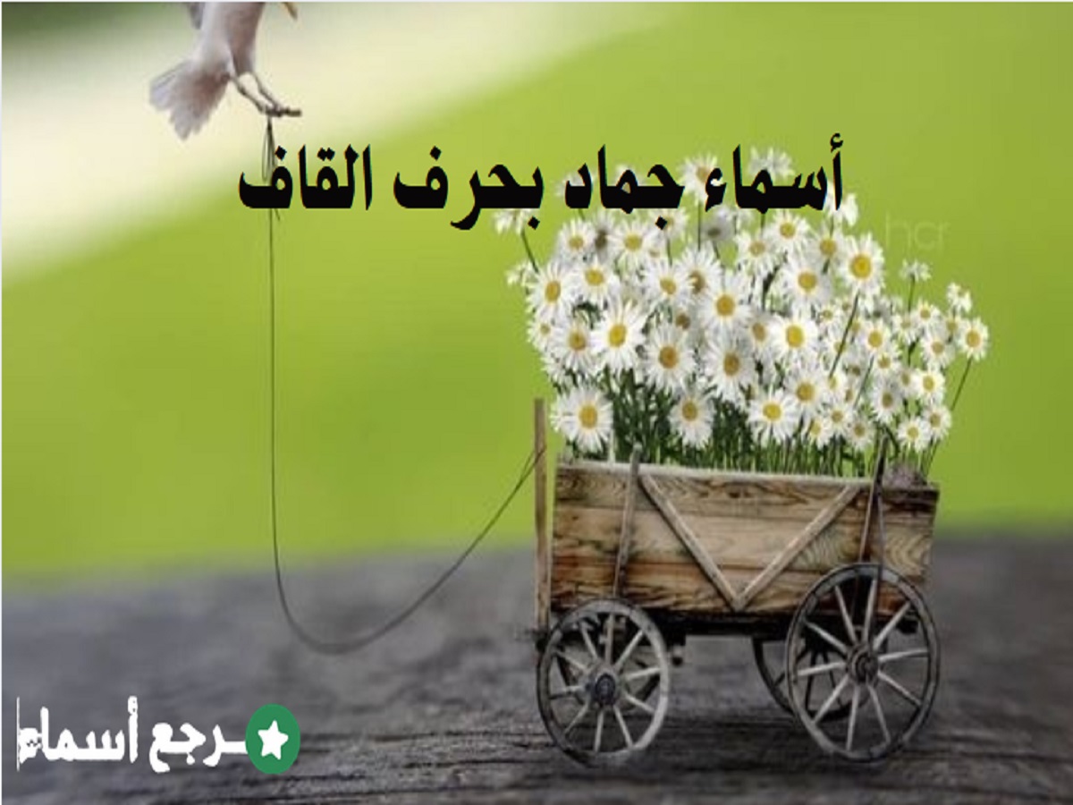 أسماء جماد بحرف القاف عربية وغربية