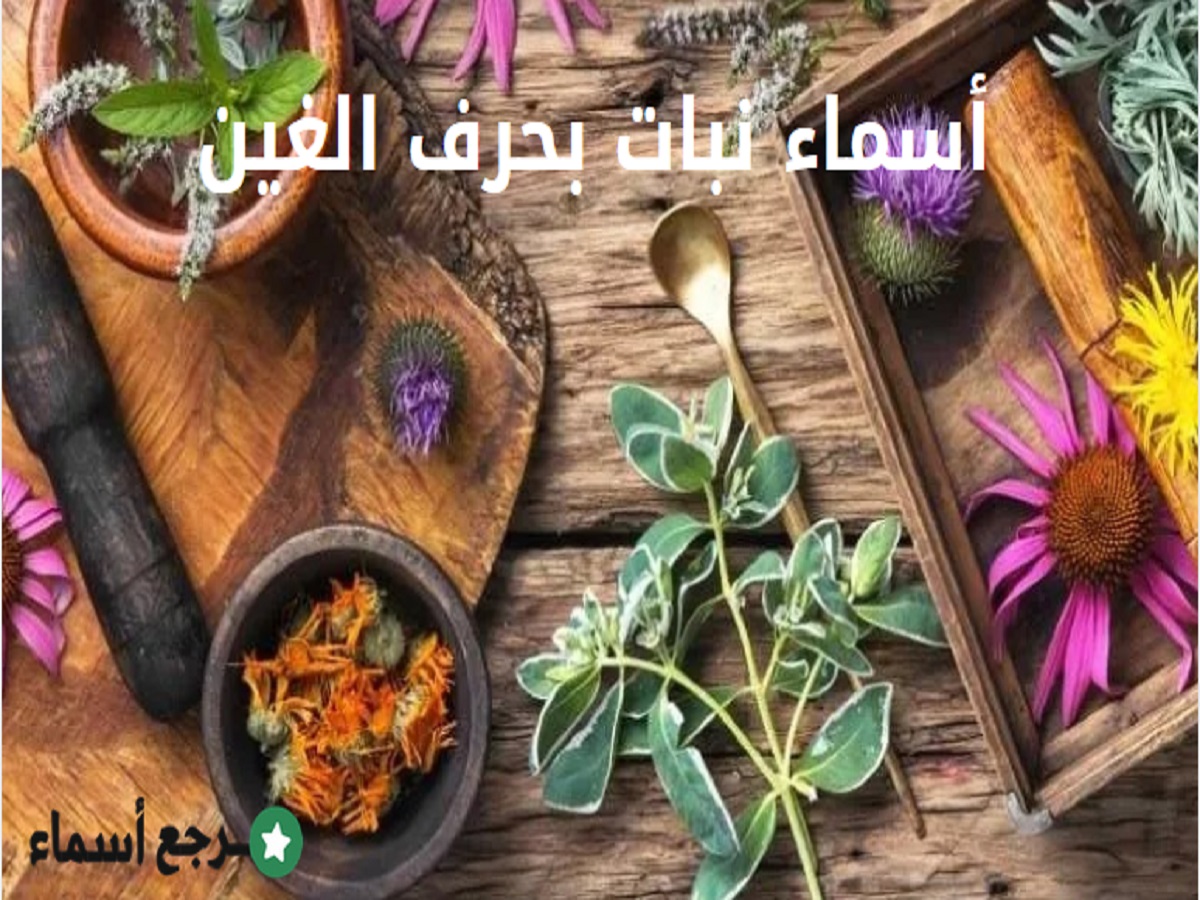 أسماء نبات بحرف الغين معروفة ونادرة مع فوائدها