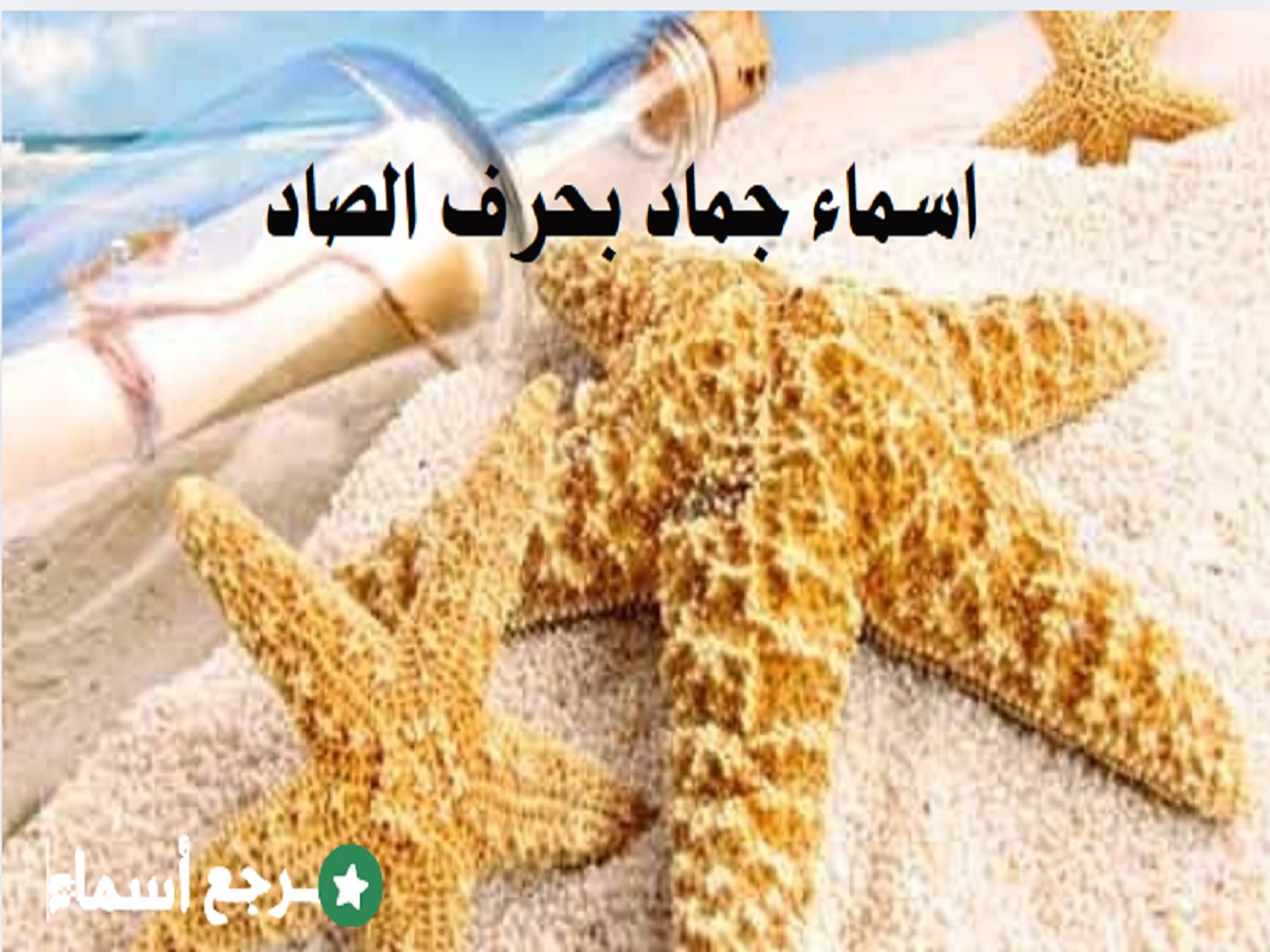 اسماء جماد بحرف الصاد ووصف كل اسم