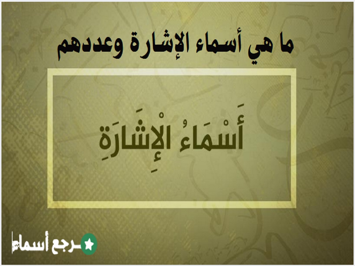 ما هي أسماء الإشارة وعددهم وموقعهم من الإعراب