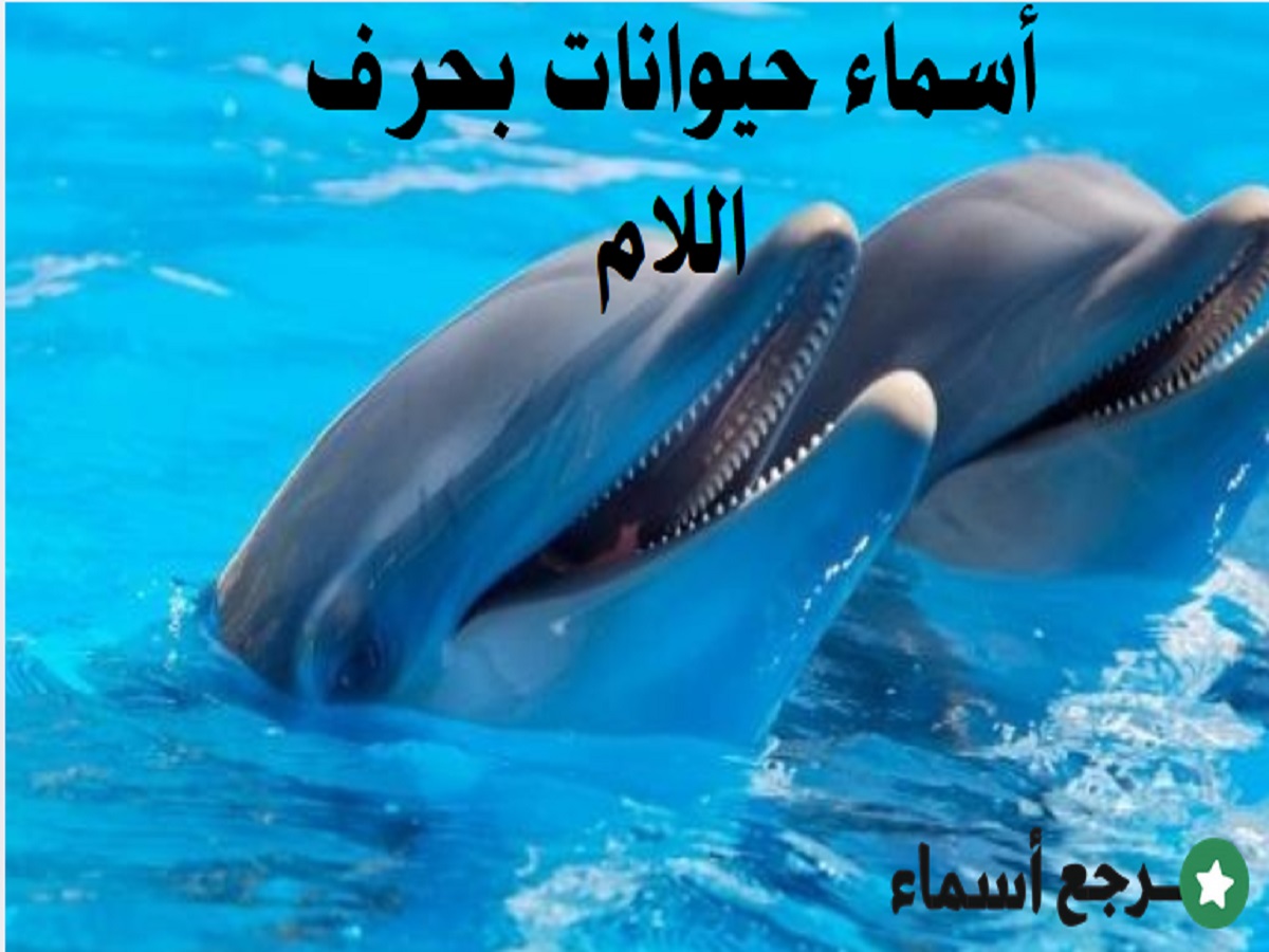 أسماء حيوانات بحرف اللام مفترسة واليفة