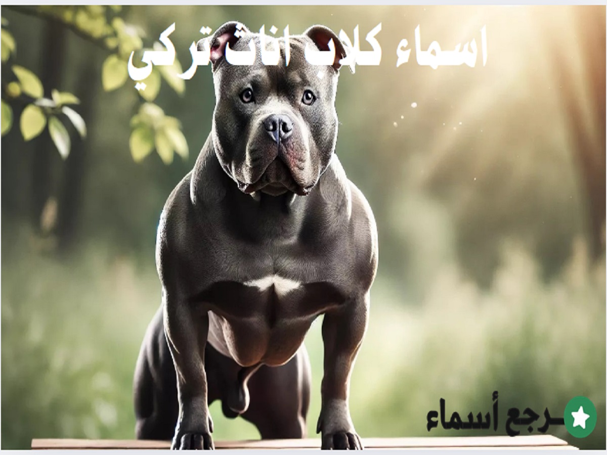 باقة من أجمل اسماء كلاب اناث تركي