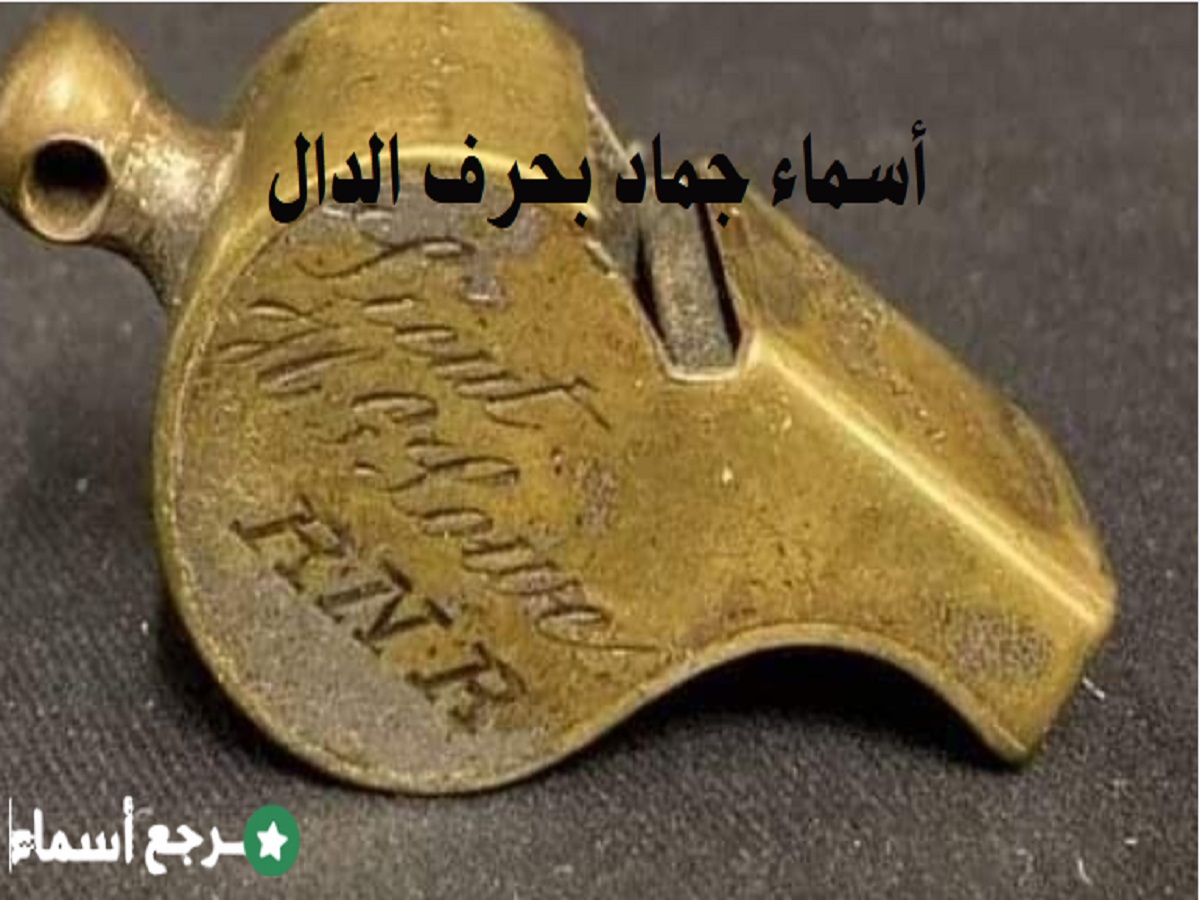 أسماء جماد بحرف الدال ومعنى كل اسم